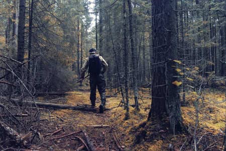 Купить диплом Егеря, лесника в Норильске