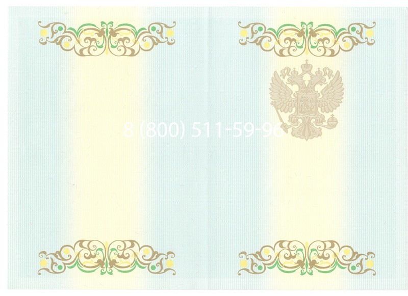 Купить Диплом бакалавра 2012-2013 годов в Норильске