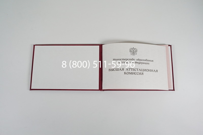 Диплом доктора наук 1995-2006 года в Норильске Диплом доктора наук 1995-2006 года в Норильске