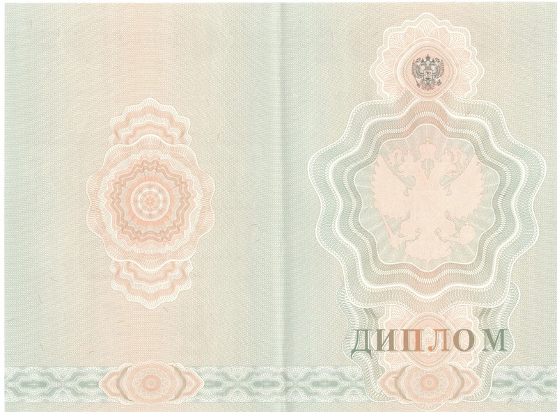 Купить Диплом о начальном образовании  2007-2009 годов в Норильске
