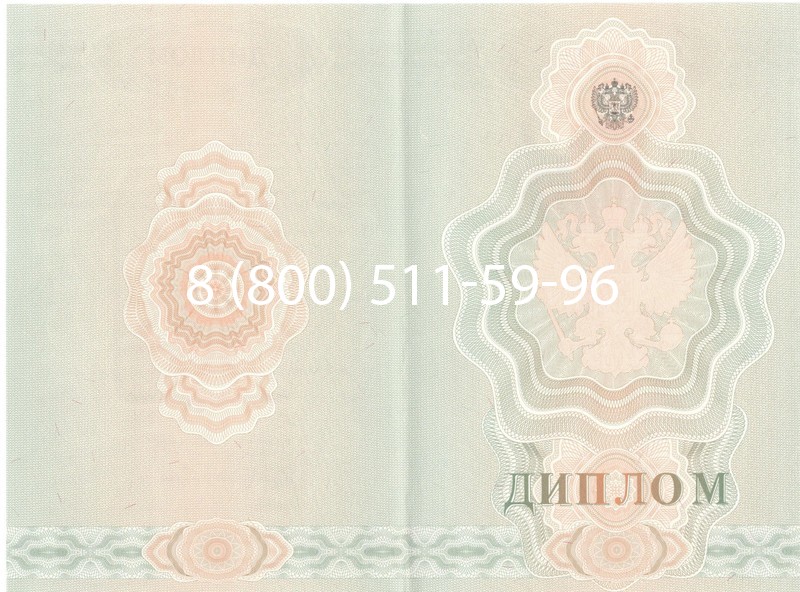 Купить Диплом ПТУ 2007-2010 годов в Норильске