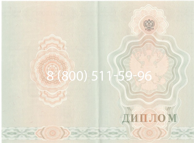 Купить Диплом училища 2007-2009 годов в Норильске